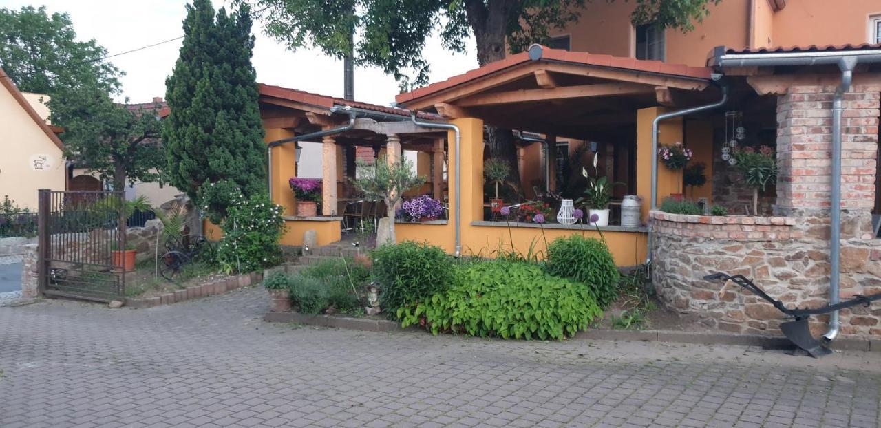 Hotel Und Pension Al Dente Nunchritz Exteriér fotografie
